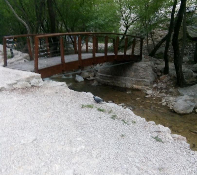 Photo of Others in Starigrad
