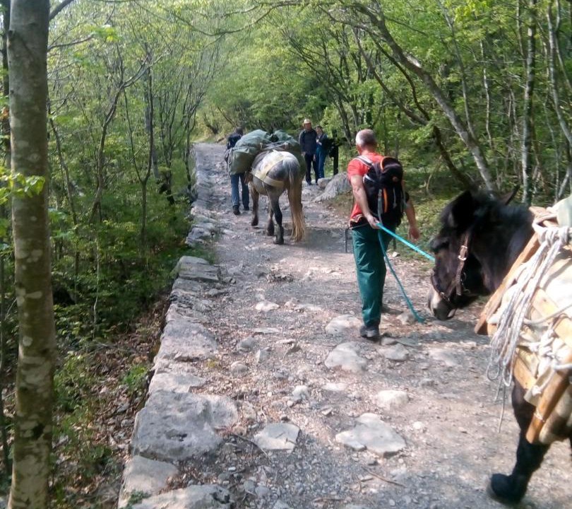 Photo of Others in Starigrad