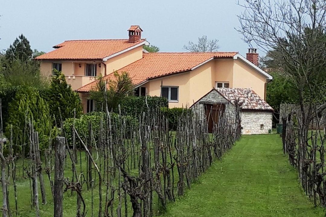 Photo of Buildings in Zminj