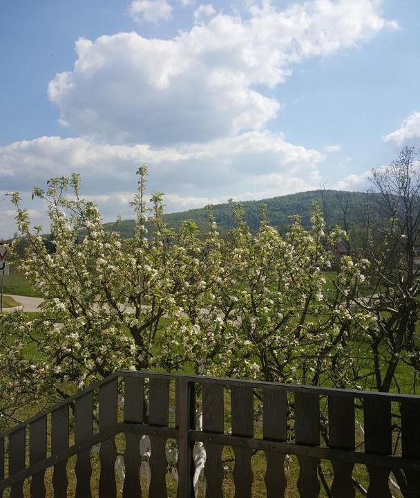 Photo of Others in Slunj