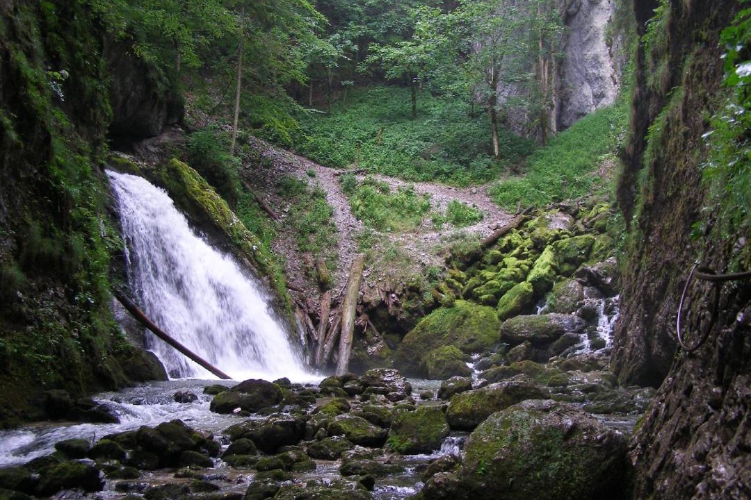 Photo of Others in Padis