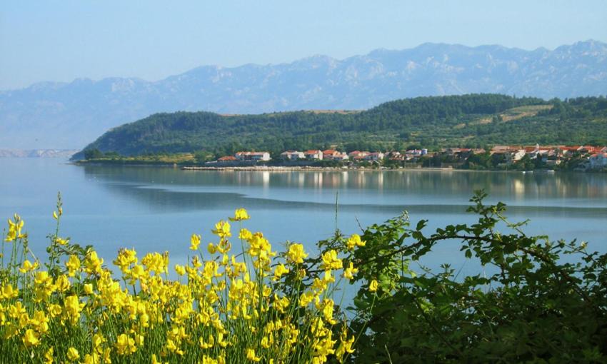Photo of Outdoor in Ljubac