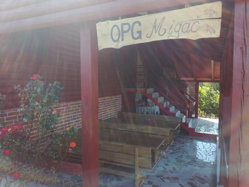Photo of Others in Ivanec