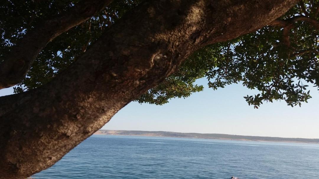 Photo of Outdoor in Starigrad