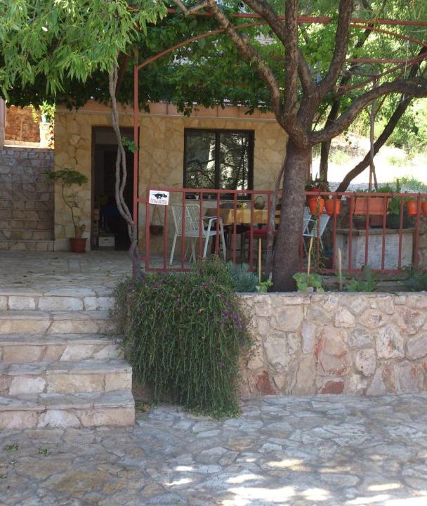 Photo of Others in Stari Grad