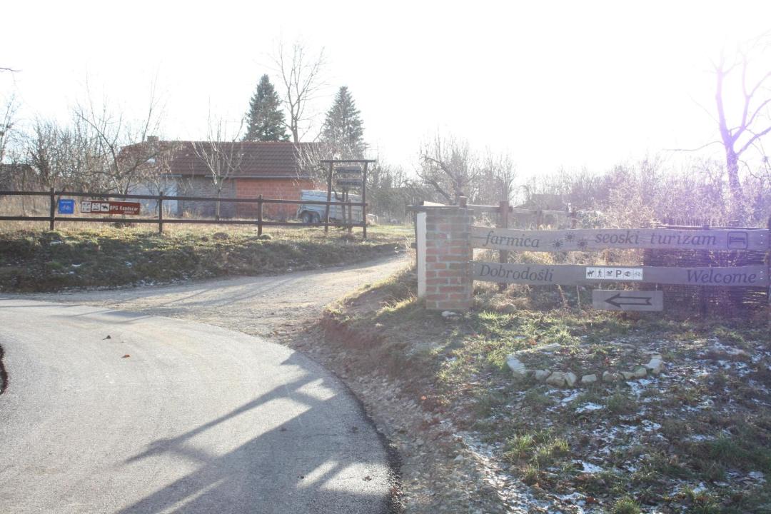 Photo of Others in Durdevac