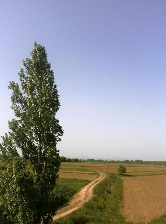 Photo of Others in Karlovac