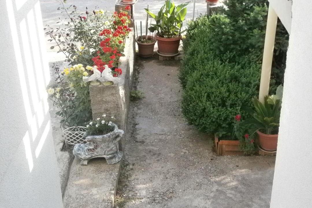 Photo of Others in Medjugorje