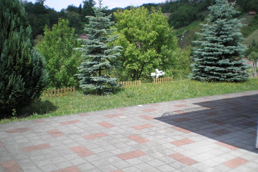 Photo of Others in Tuheljske Toplice