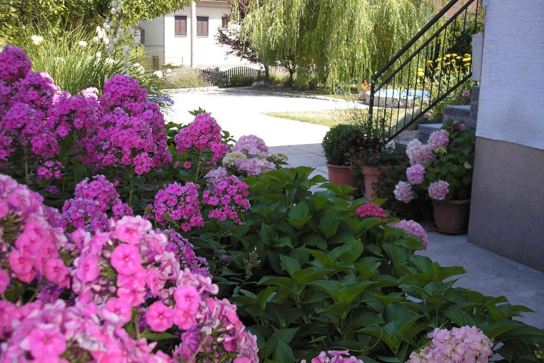 Photo of Others in Slunj