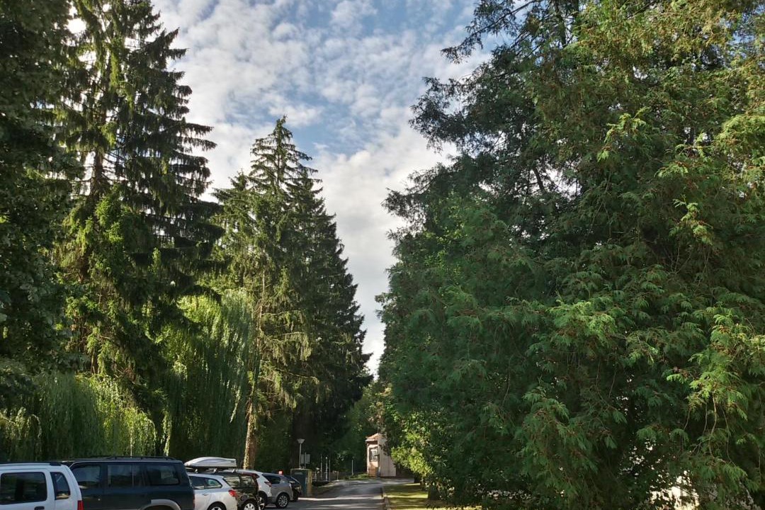 Photo of Others in Daruvar