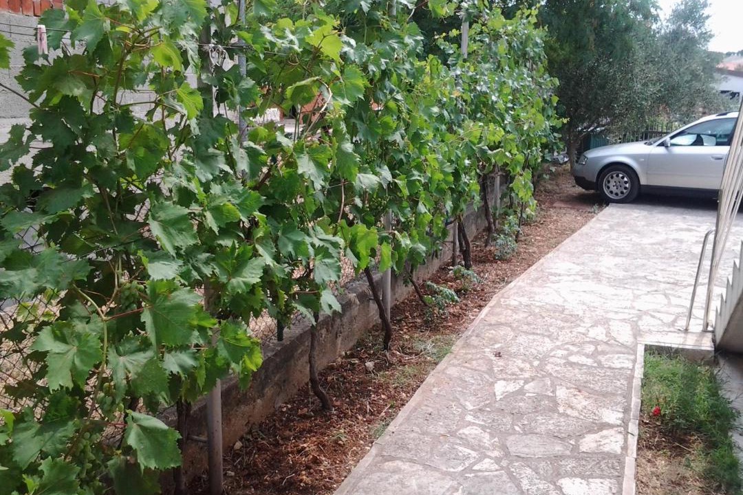 Photo of Others in Biograd na Moru
