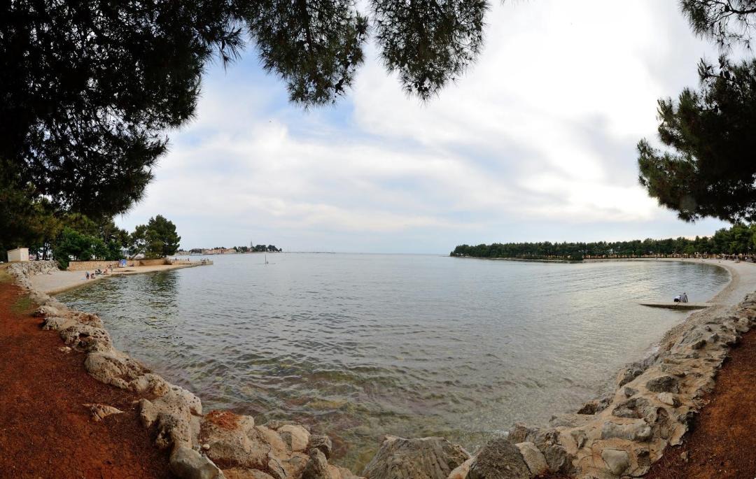 Photo of Others in Novigrad
