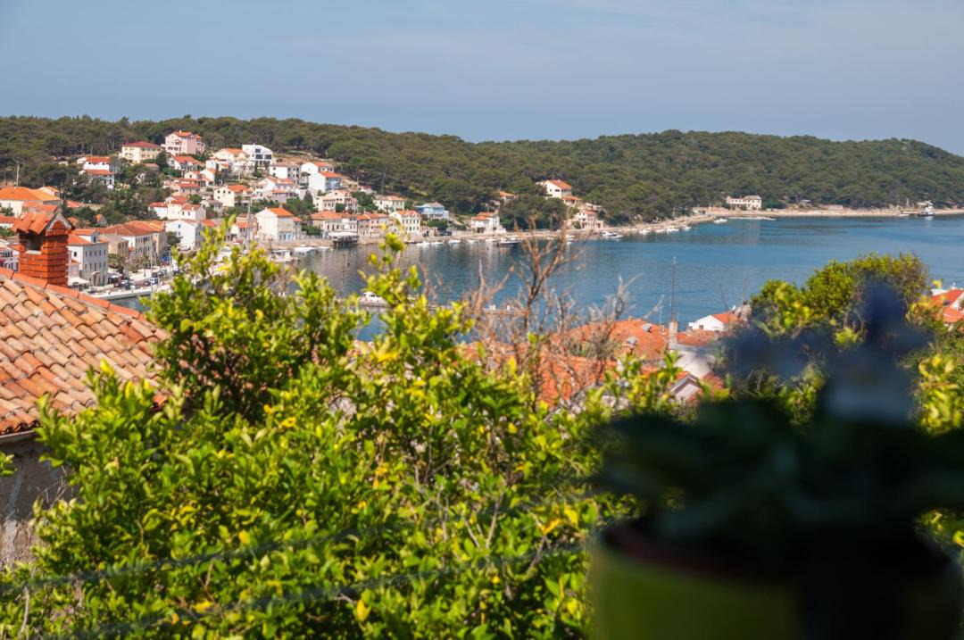 Photo of Others in Cove Murtar