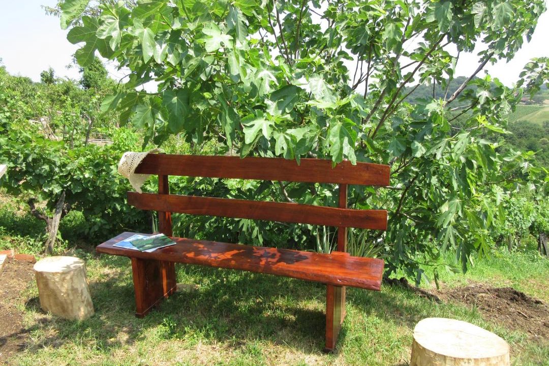 Photo of Patio Balcony in Grabrovnik