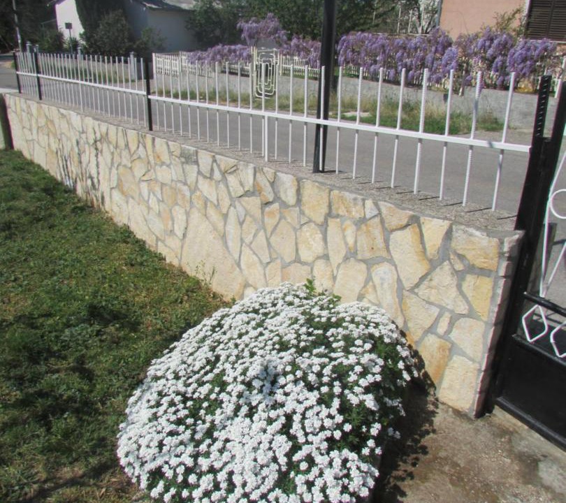 Photo of Others in Maslenica