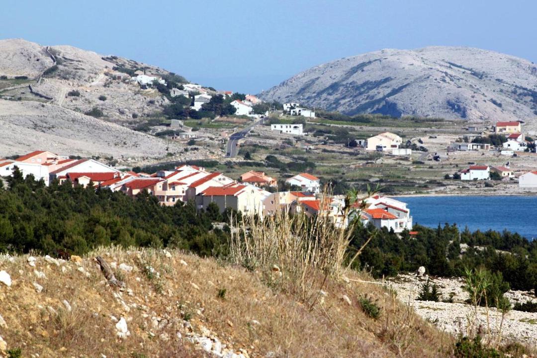 Photo of Others in Vidalici