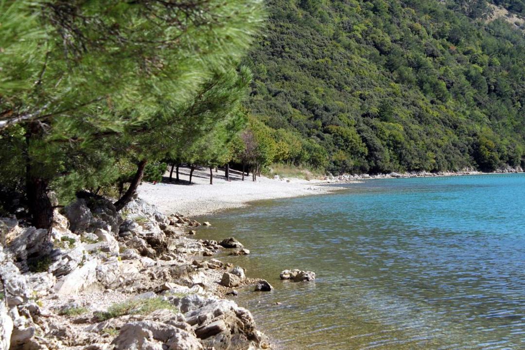 Photo of Others in Boljevici