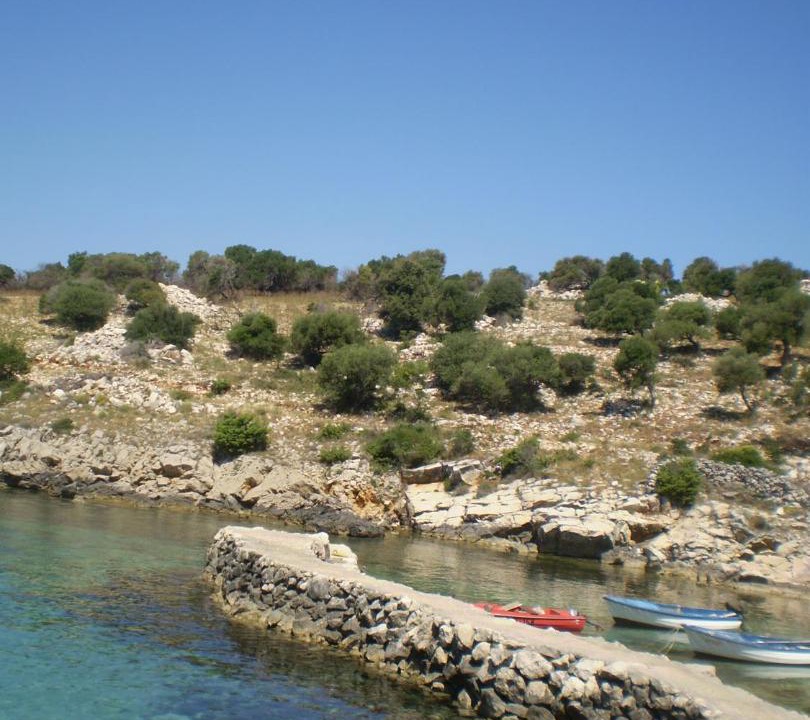 Photo of Others in Novalja