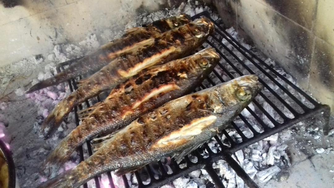 Photo of Outdoor in Trstenik