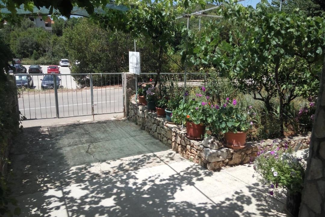 Photo of Others in Stari Grad