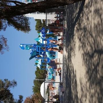 Photo of Others in Cove Murtar