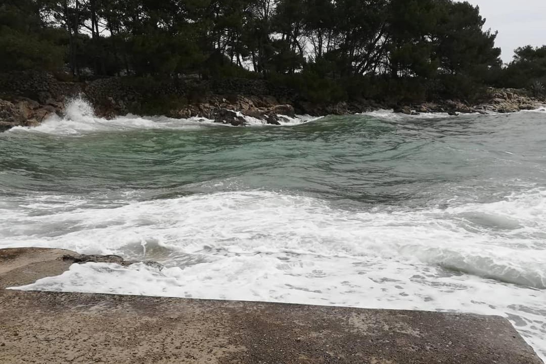 Photo of Others in Cove Murtar