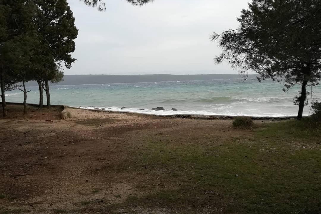 Photo of Others in Cove Murtar