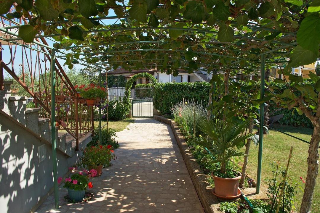 Photo of Others in Finida