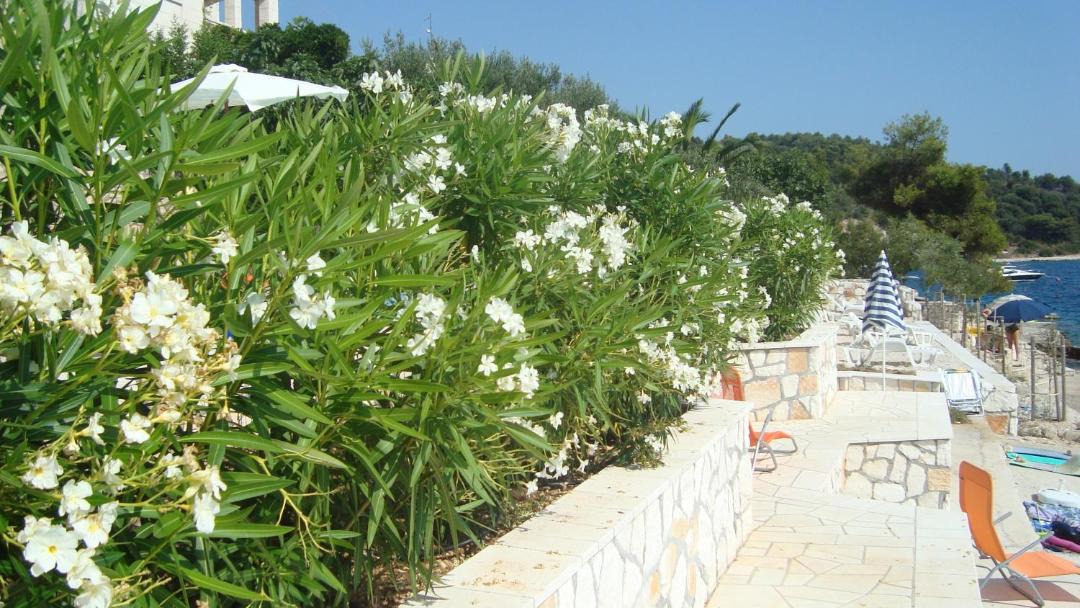 Photo of Others in Okrug Donji