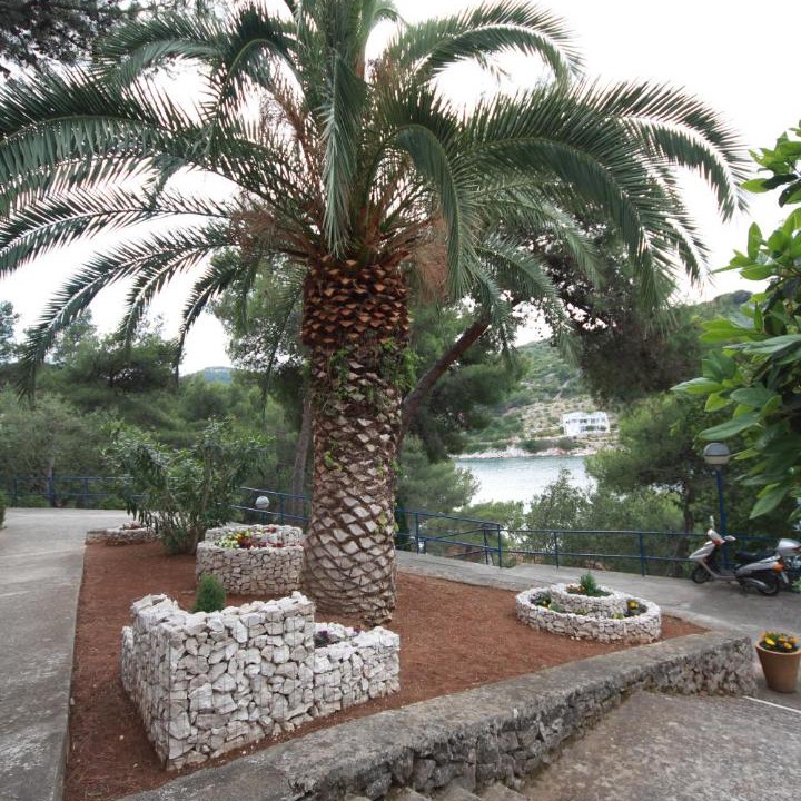 Photo of Others in Island Dugi Otok