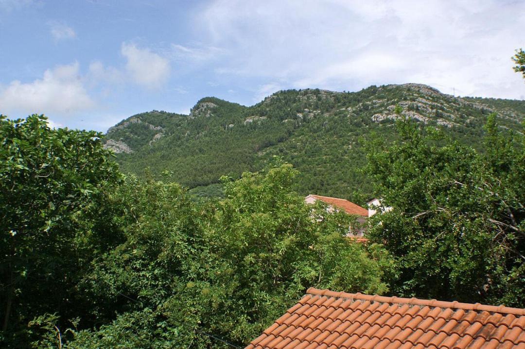 Photo of Others in Zuljana