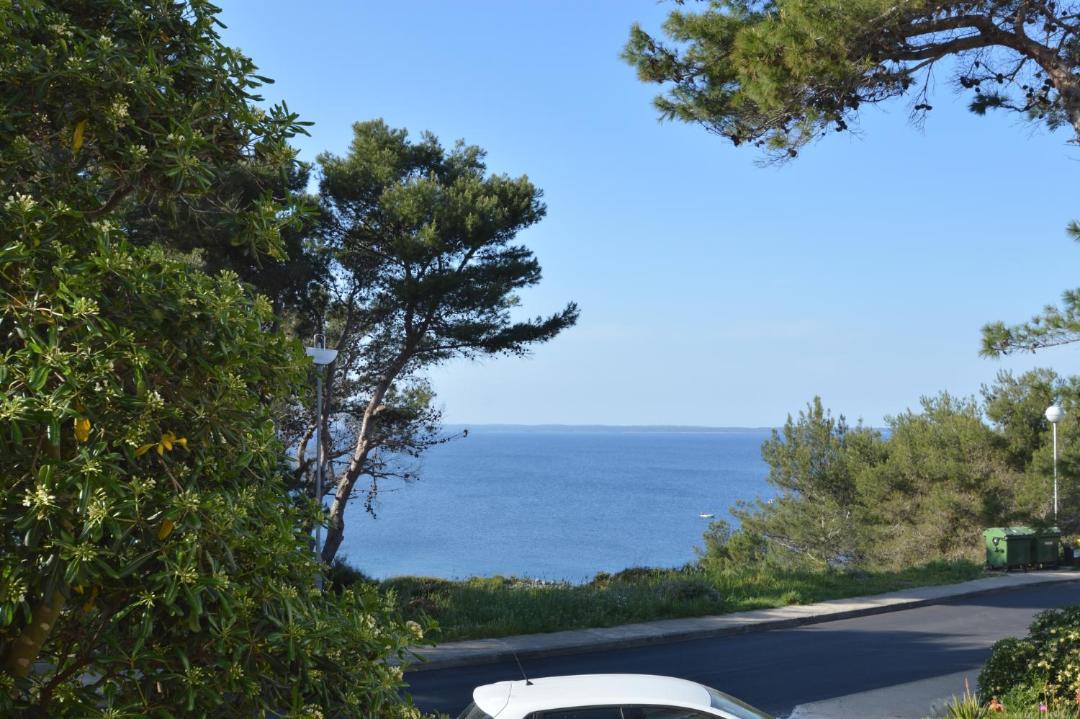 Photo of Others in Cove Murtar