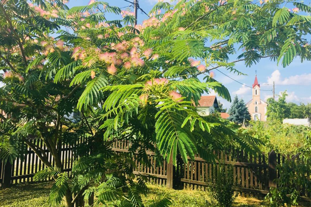 Photo of Outdoor in Sveti Ivan Zabno