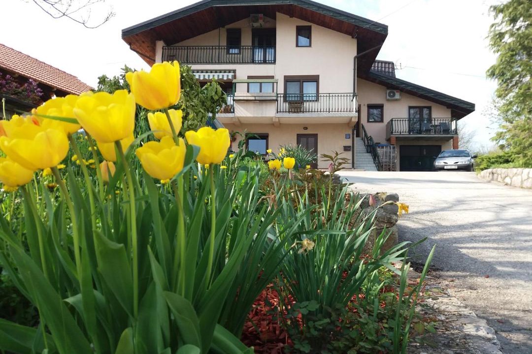 Photo of Others in Rastoke