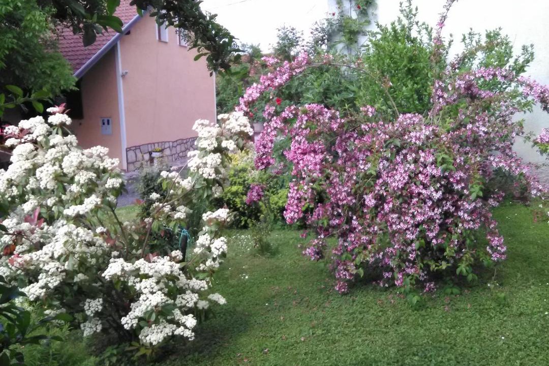 Photo of Others in Slunj