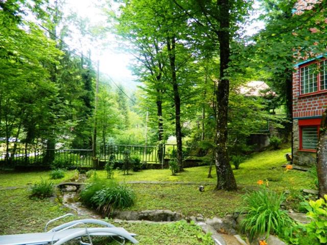 Photo of Others in Samobor