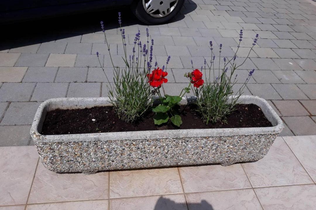 Photo of Others in Viskovo