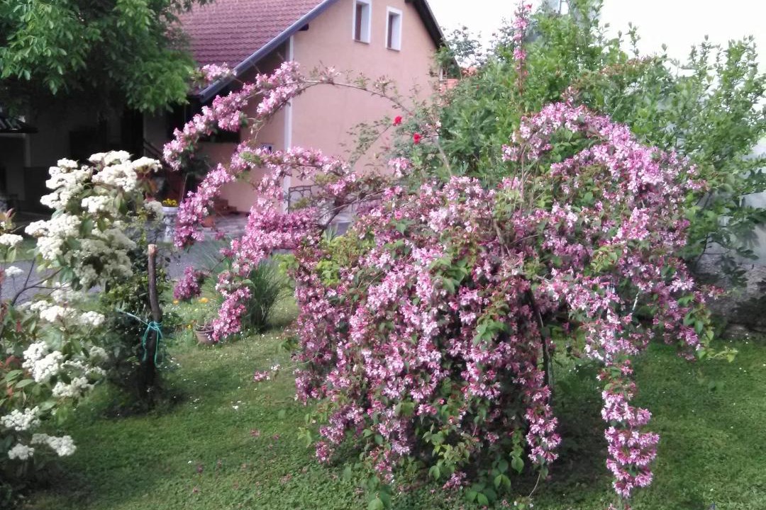 Photo of Others in Slunj