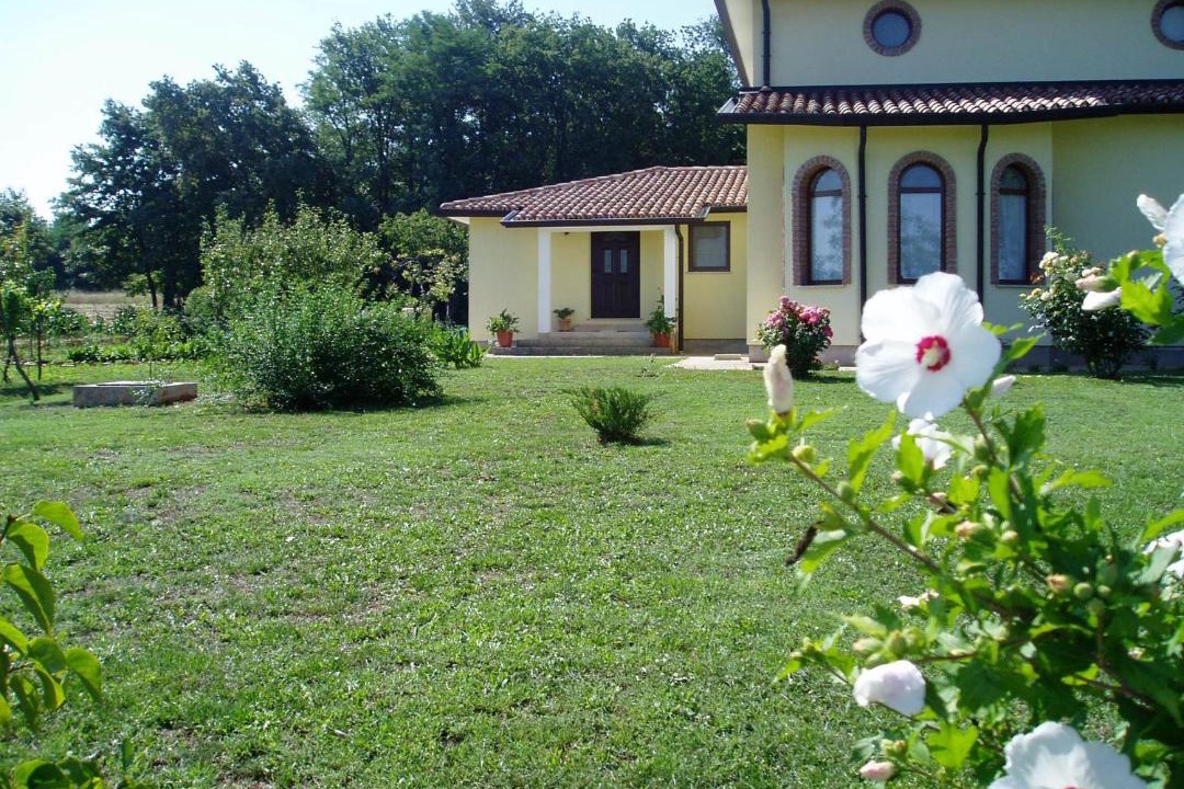 Photo of Others in Babici