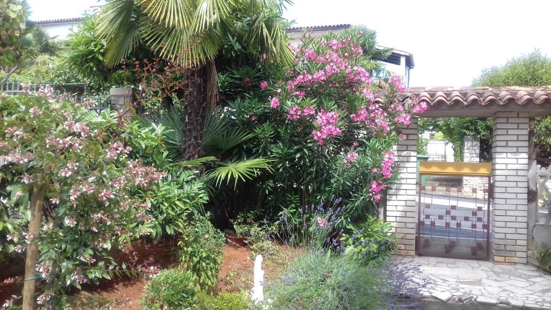 Photo of Others in Porec