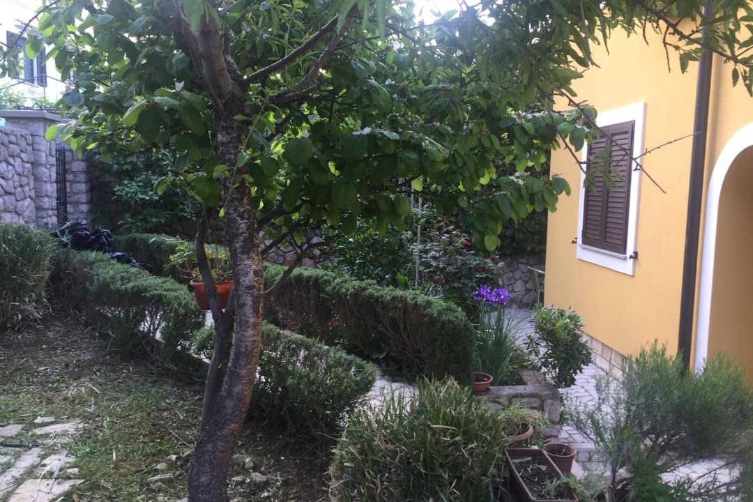 Photo of Others in Cove Murtar