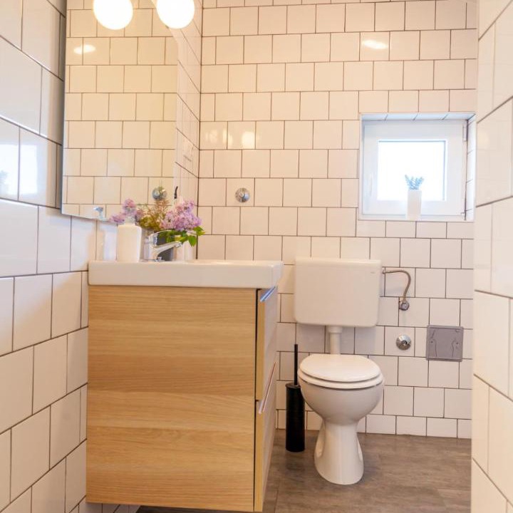 Photo of Bathroom in Milcetici