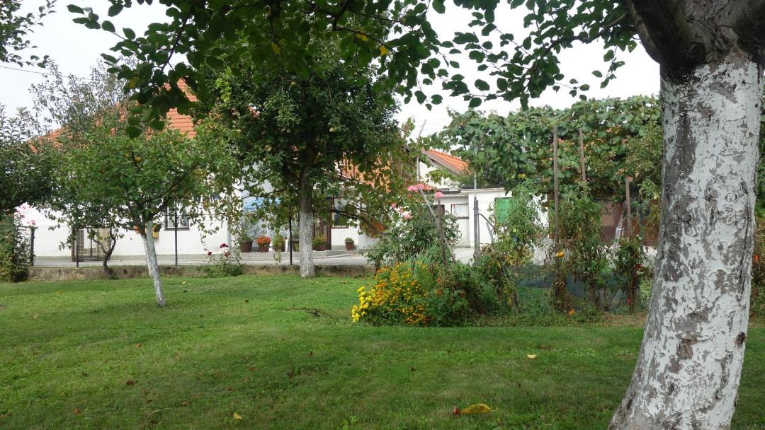 Photo of Others in Sveti Kriz Zacretje