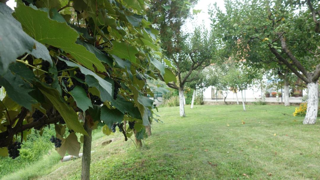 Photo of Others in Sveti Kriz Zacretje