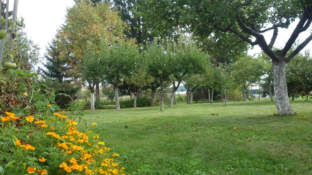 Photo of Others in Sveti Kriz Zacretje