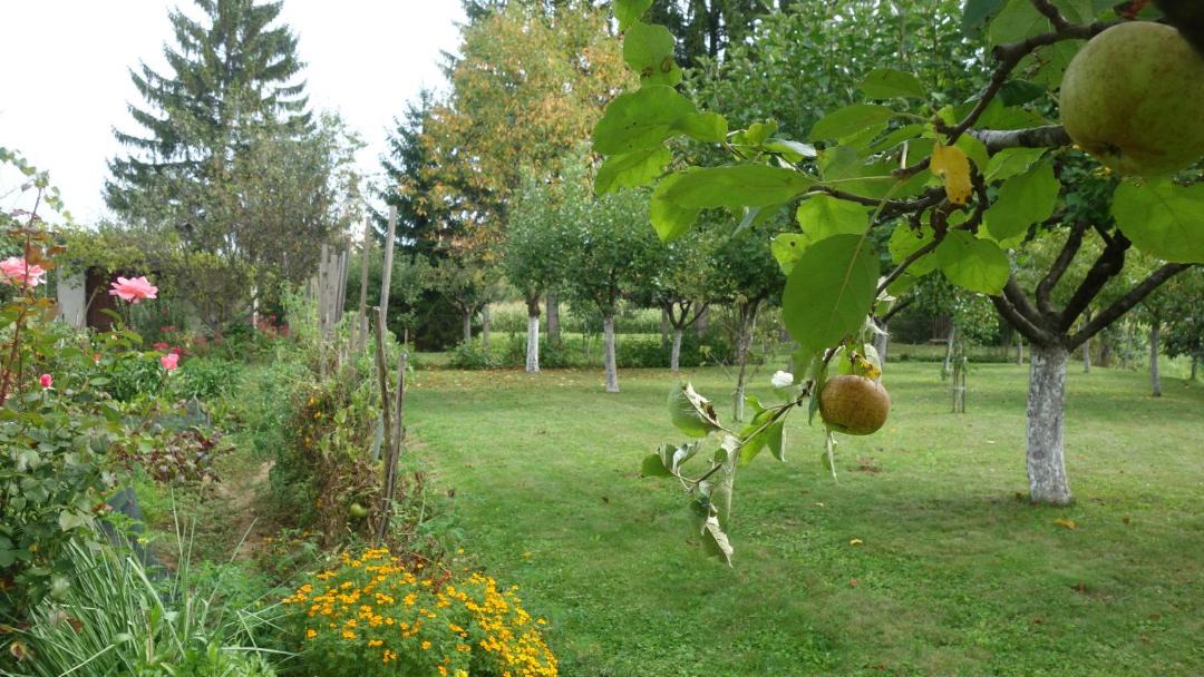 Photo of Others in Sveti Kriz Zacretje
