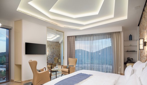 Standard Room with Terrace and Grove View