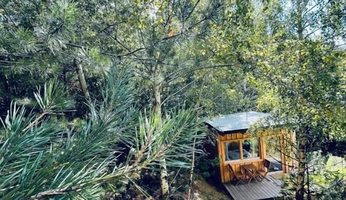 Comfort Chalet