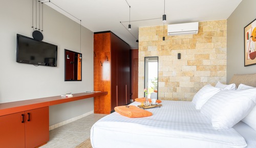 Superior Exclusive Room